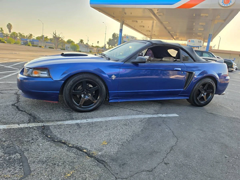 1999 Ford SN95 Mustang - Image 5 of 11