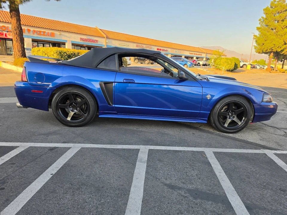 1999 Ford SN95 Mustang - Image 3 of 11