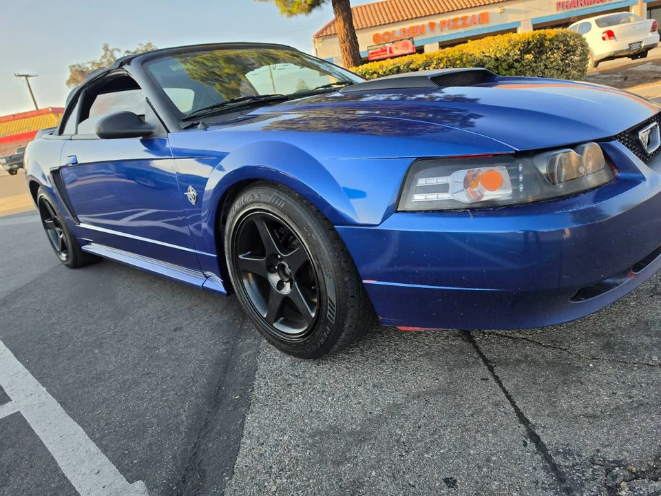 1999 Ford SN95 Mustang - Image 4 of 11