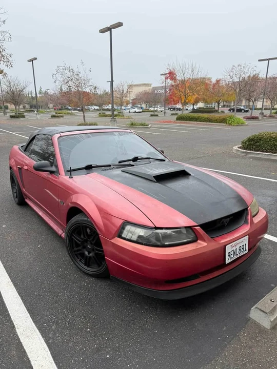 1999 Ford SN95 Mustang - Image 5 of 5