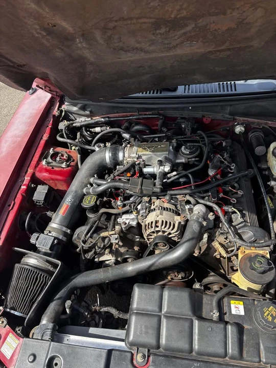 1999 Ford SN95 Mustang - Image 2 of 5