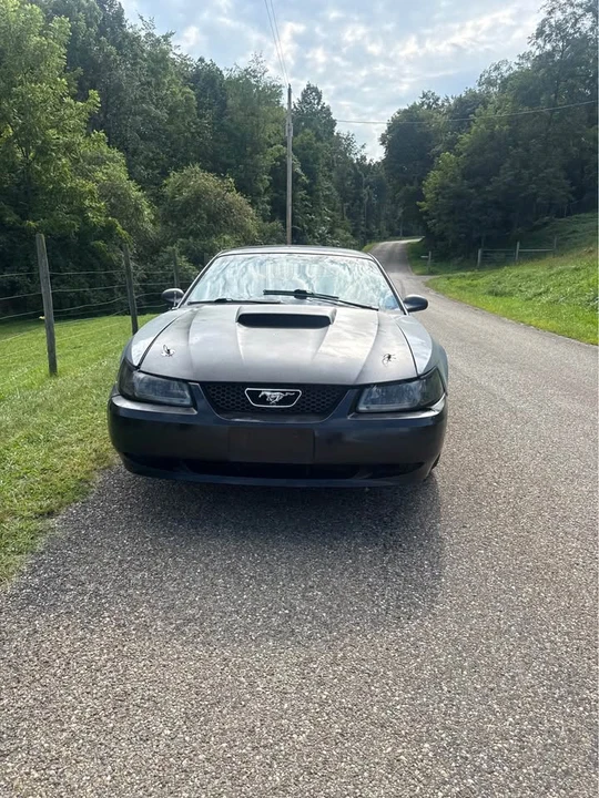 1999 Ford SN95 Mustang - Image 15 of 20