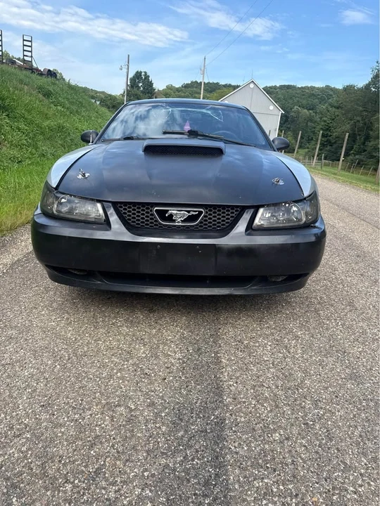 1999 Ford SN95 Mustang - Image 5 of 20