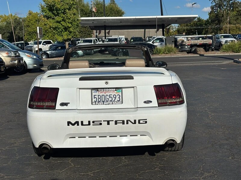 1999 Ford SN95 Mustang - Image 4 of 20
