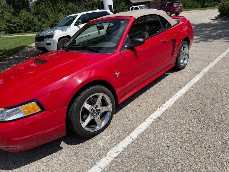 1999 Ford SN95 Mustang - Image 2 of 8