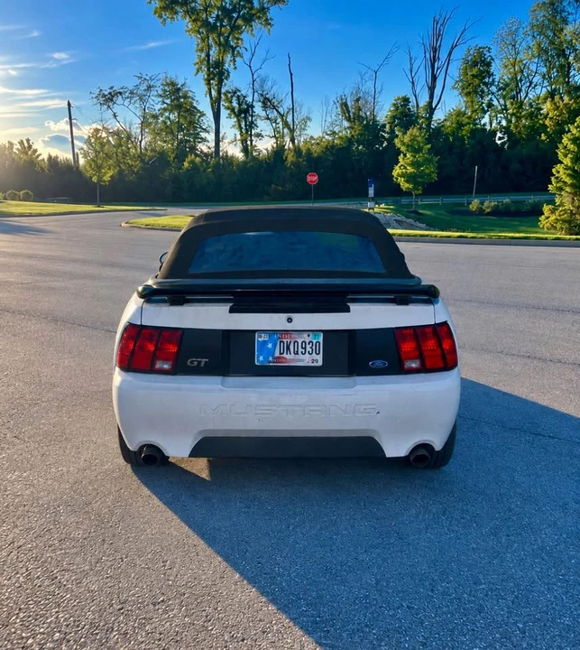 1999 Ford SN95 Mustang - Image 4 of 7