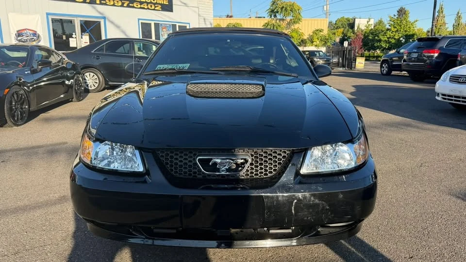 1999 Ford SN95 Mustang - Image 2 of 16