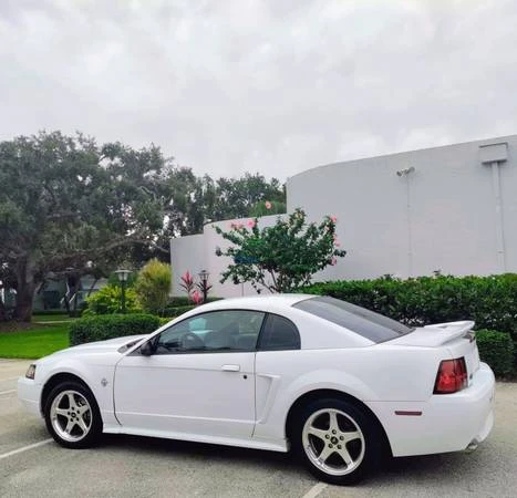 1999 Ford SN95 Mustang - Image 4 of 12