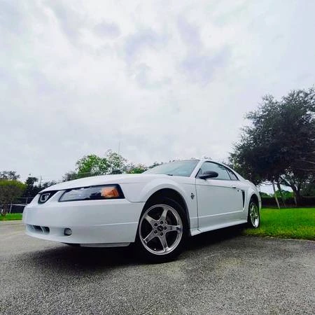 1999 Ford SN95 Mustang - Image 19 of 21