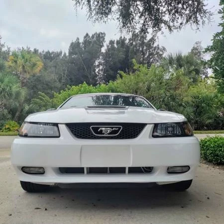 1999 Ford SN95 Mustang - Image 6 of 12