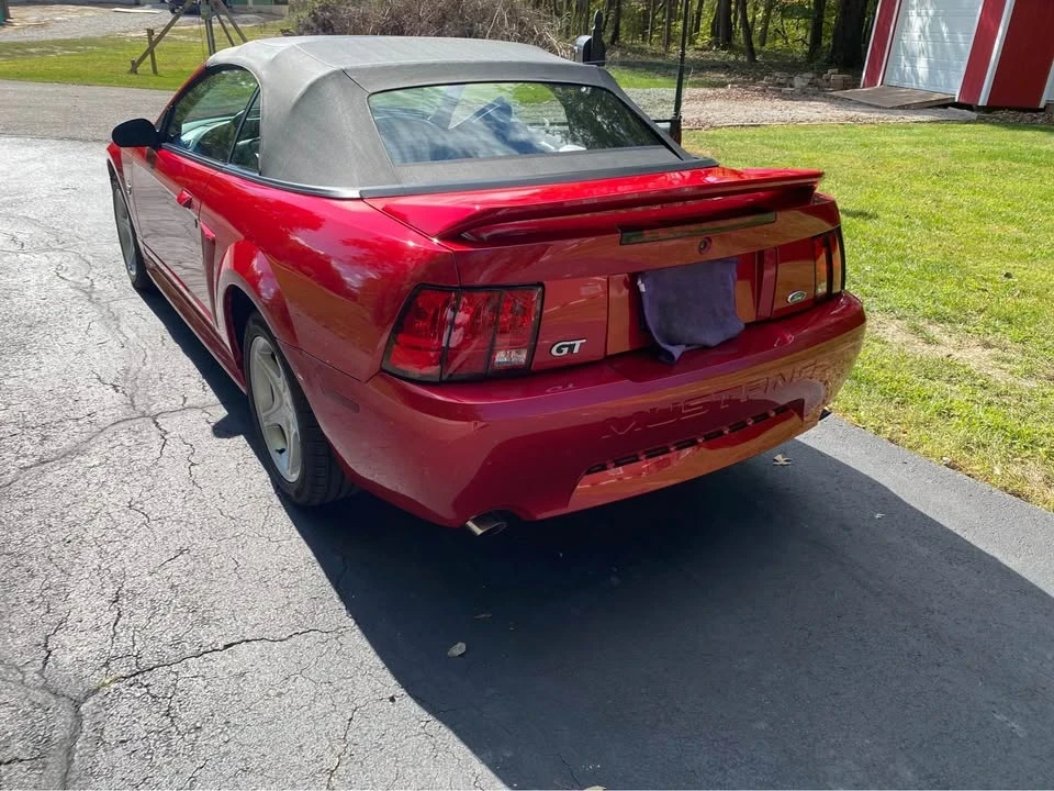 1999 Ford SN95 Mustang - Image 4 of 8
