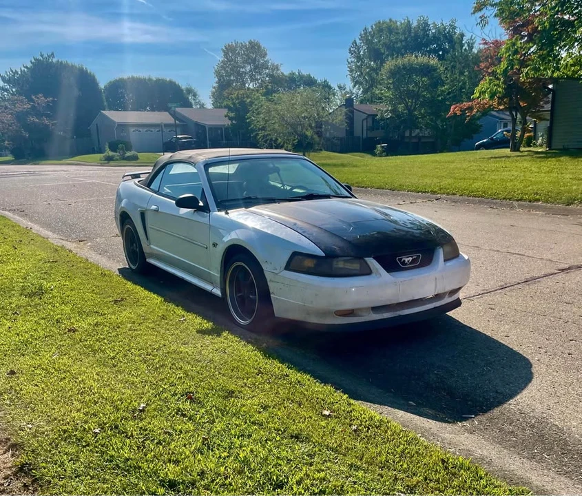 1999 Ford SN95 Mustang - Image 6 of 8