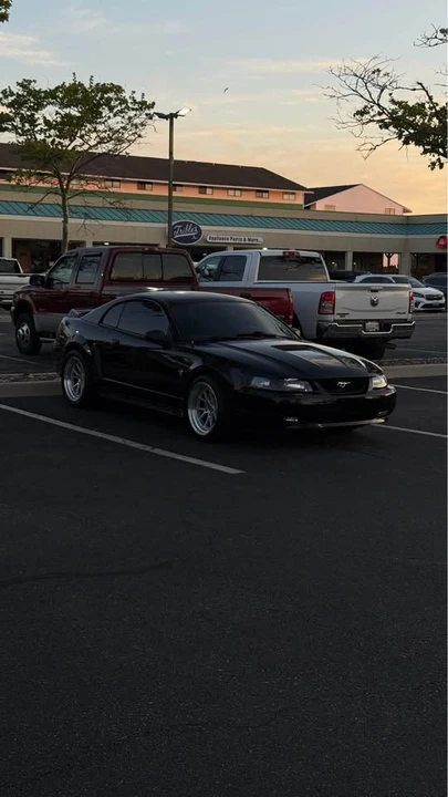1999 Ford SN95 Mustang - Image 3 of 14