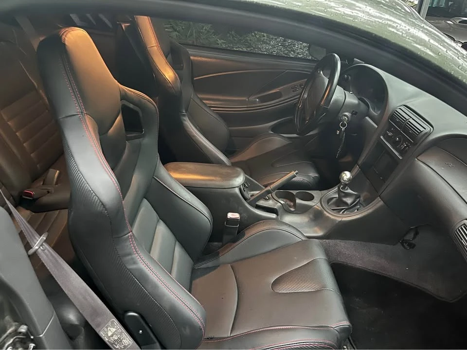 1999 Ford SN95 Mustang - Image 12 of 12