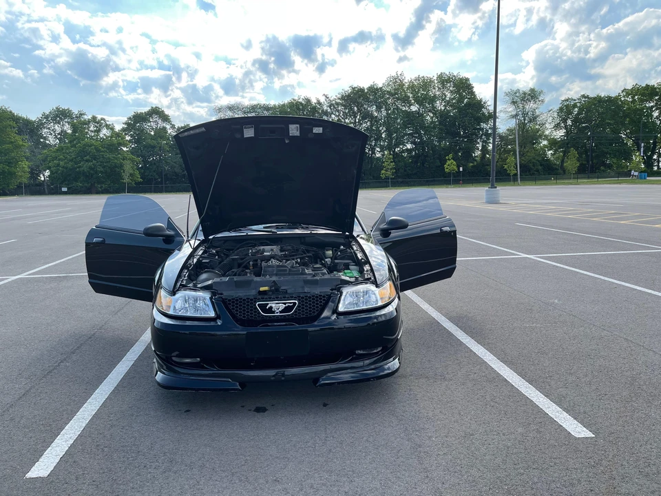 1999 Ford SN95 Mustang - Image 18 of 31