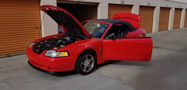 1999 Ford SN95 Mustang - Image 8 of 20