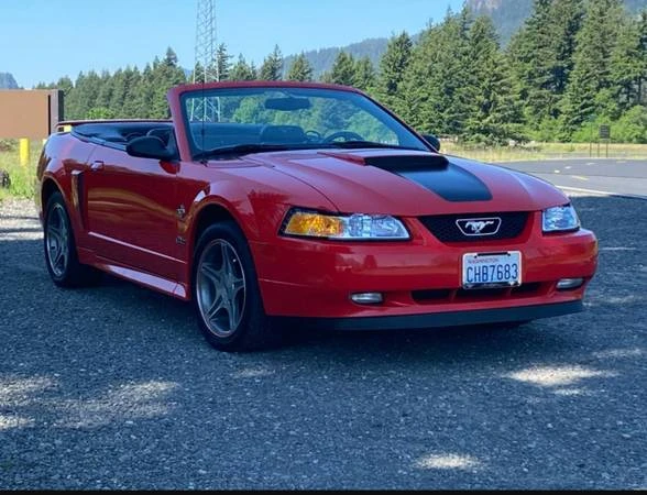 1999 Ford SN95 Mustang - Image 6 of 20