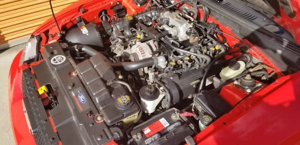 1999 Ford SN95 Mustang - Image 9 of 16