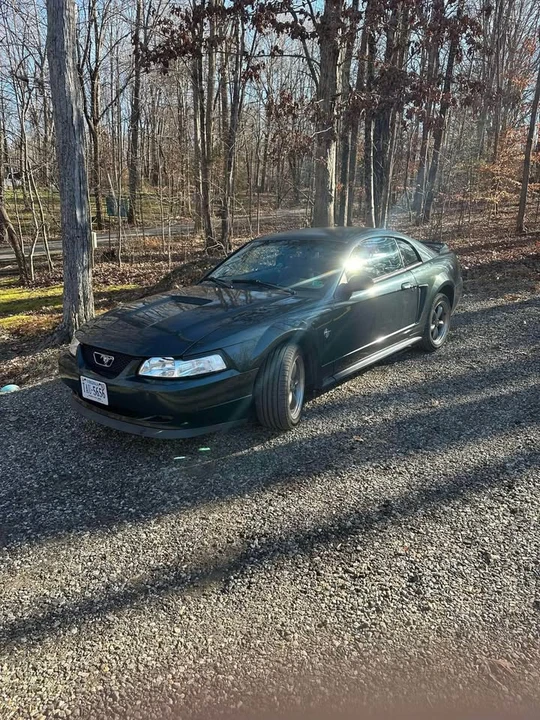 1999 Ford SN95 Mustang - Image 3 of 7