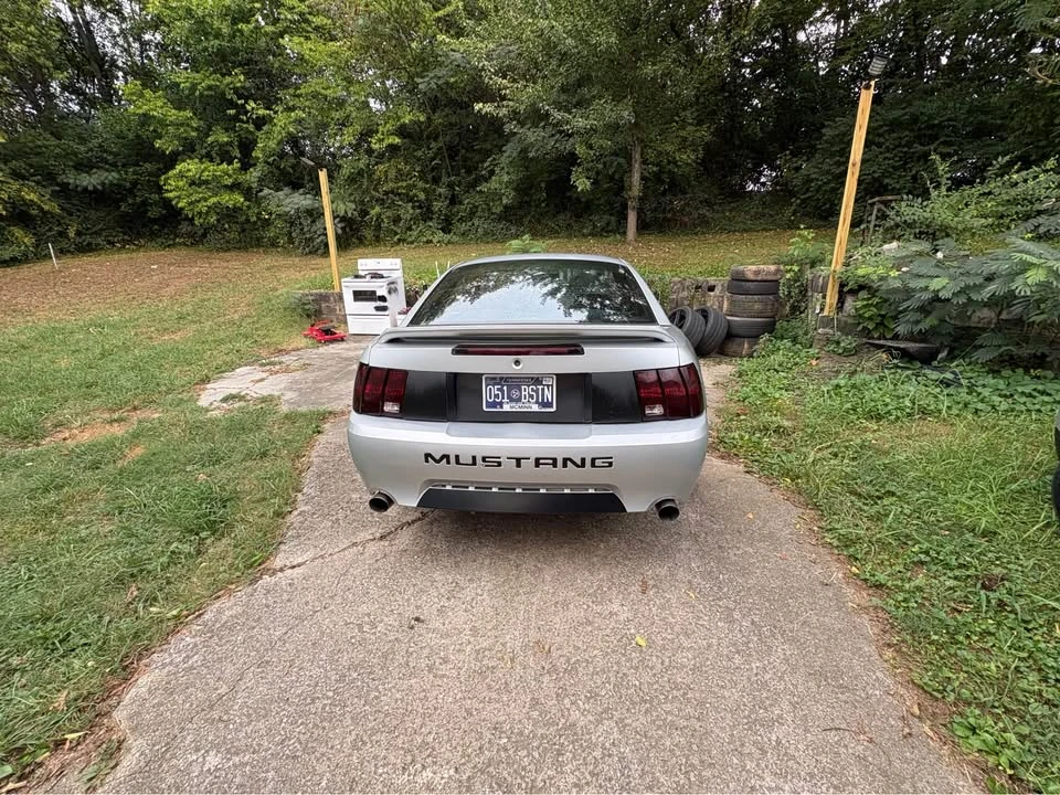 1999 Ford SN95 Mustang - Image 8 of 12