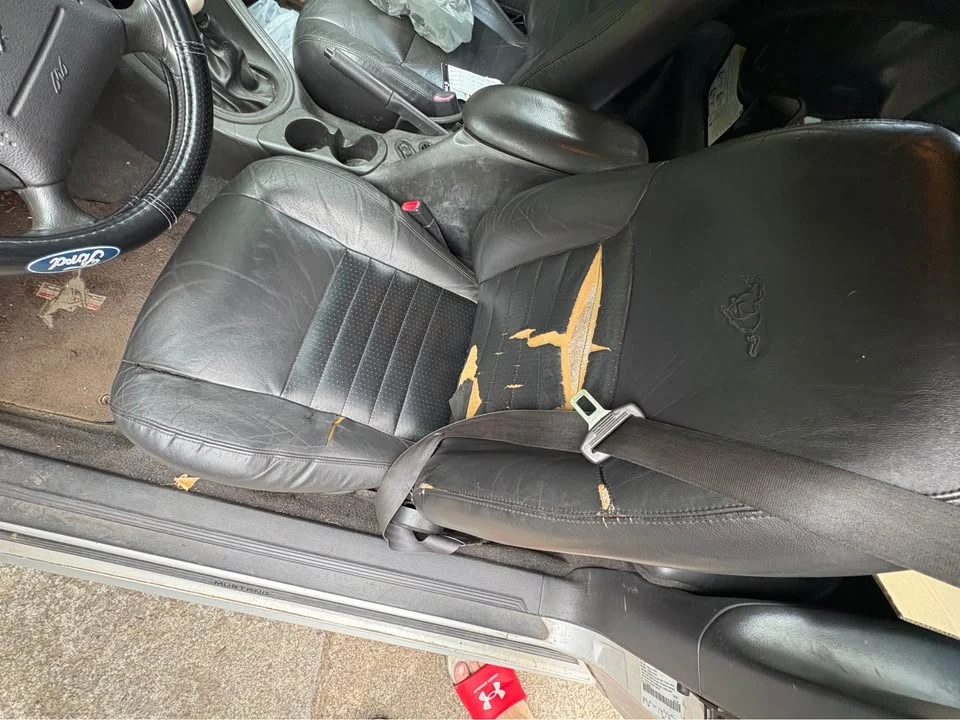 1999 Ford SN95 Mustang - Image 6 of 12