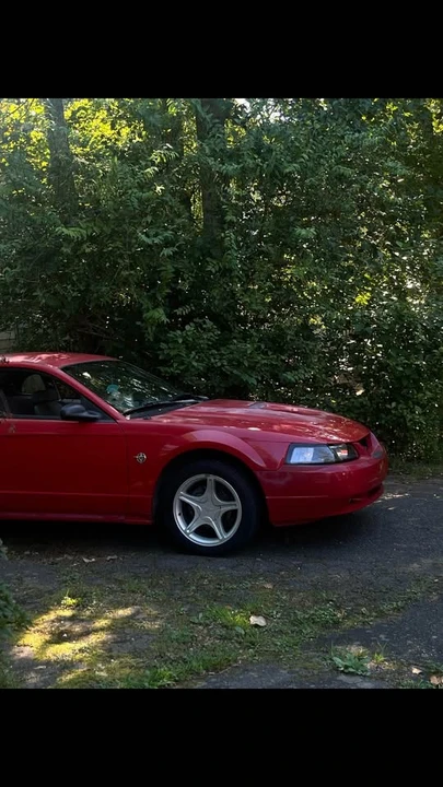 1999 Ford SN95 Mustang - Image 4 of 4