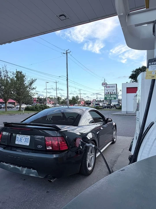 1999 Ford SN95 Mustang - Image 5 of 9