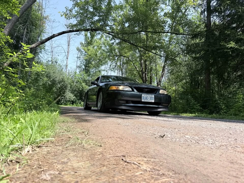 1999 Ford SN95 Mustang - Image 3 of 9