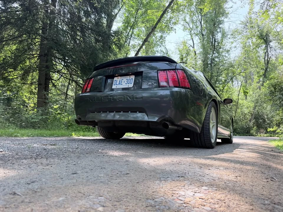 1999 Ford SN95 Mustang - Image 2 of 9
