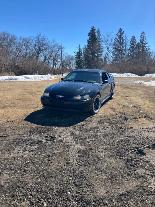 1999 Ford SN95 Mustang - Image 3 of 3