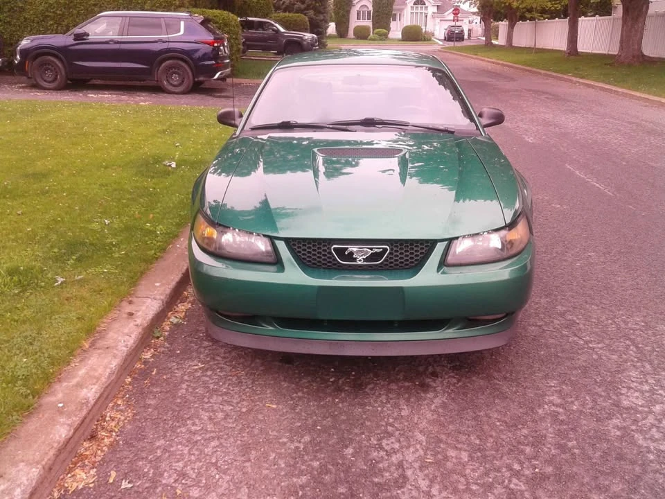 1999 Ford SN95 Mustang - Image 3 of 6