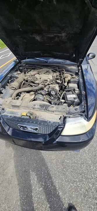1999 Ford SN95 Mustang - Image 2 of 11