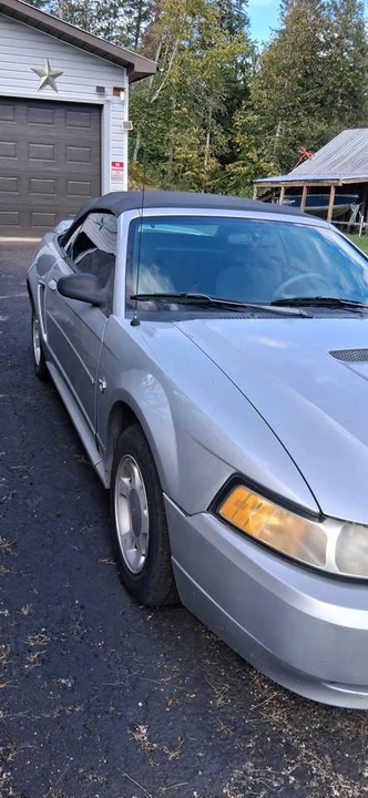 1999 Ford SN95 Mustang - Image 5 of 19