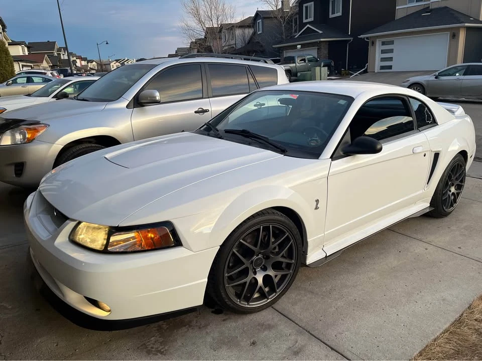 1999 Ford SN95 Mustang - Image 3 of 3
