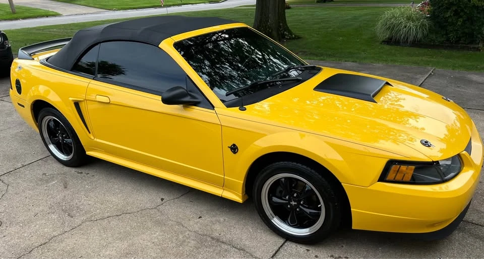 1999 Ford SN95 Mustang - Image 3 of 10