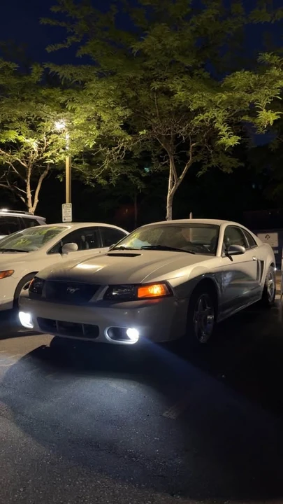1999 Ford SN95 Mustang - Image 11 of 12
