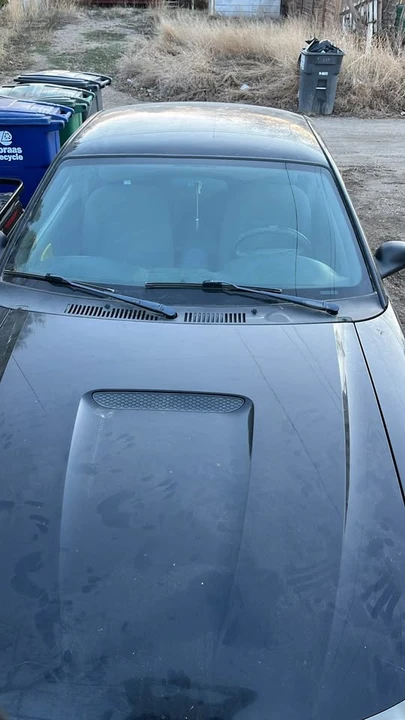 1999 Ford SN95 Mustang - Image 2 of 4