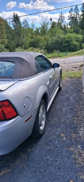 1999 Ford SN95 Mustang - Image 4 of 19