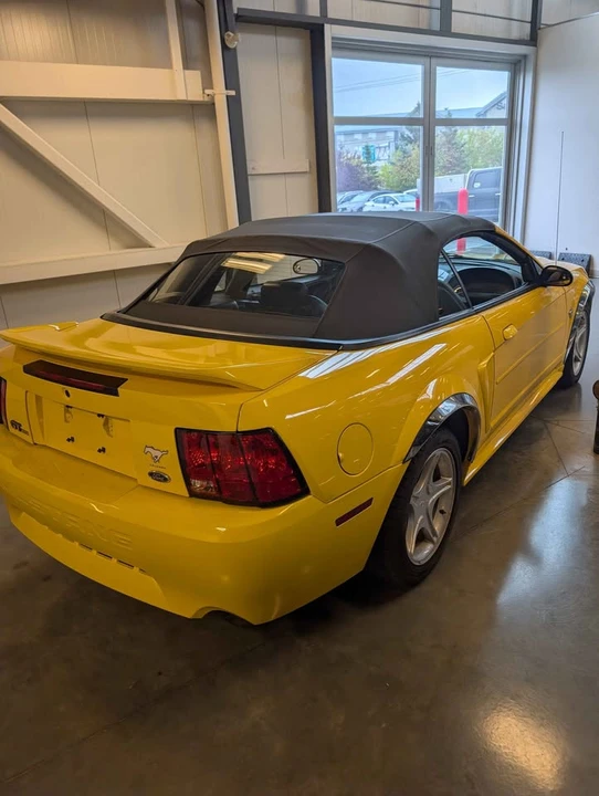 1999 Ford SN95 Mustang - Image 6 of 14