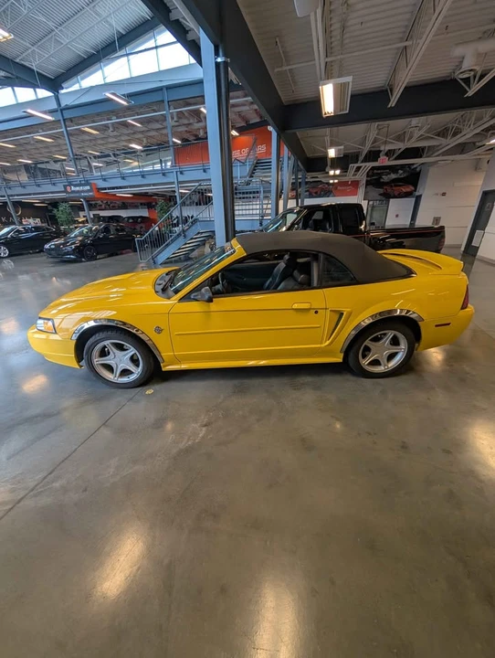 1999 Ford SN95 Mustang - Image 3 of 14