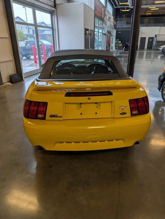 1999 Ford SN95 Mustang - Image 5 of 14