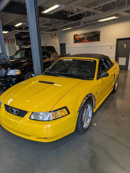 1999 Ford SN95 Mustang - Image 2 of 14