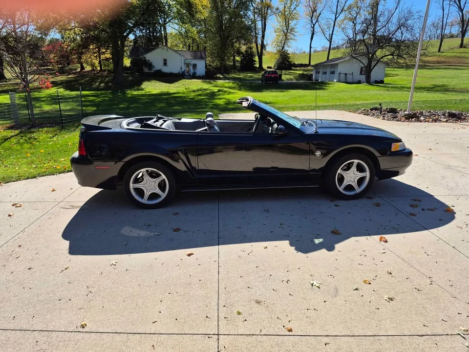 1999 Ford SN95 Mustang - Image 6 of 8