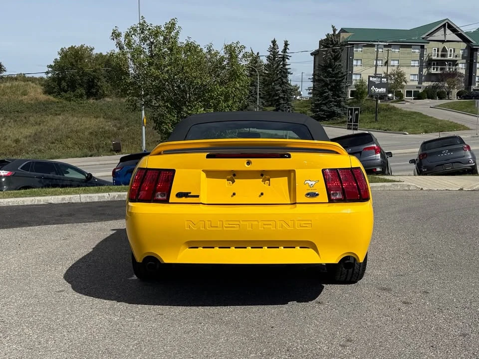 1999 Ford SN95 Mustang - Image 4 of 14
