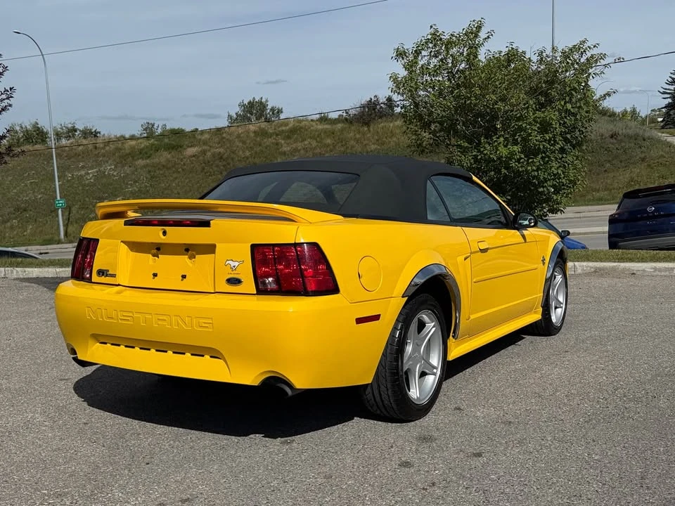 1999 Ford SN95 Mustang - Image 5 of 14