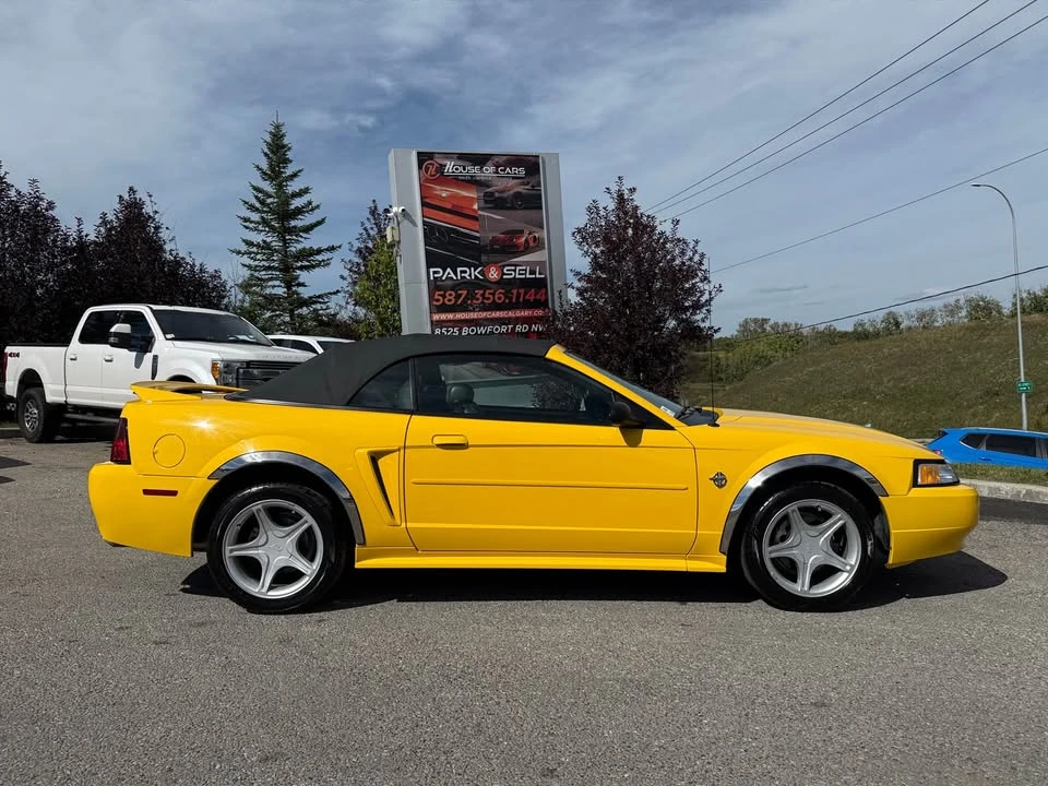 1999 Ford SN95 Mustang - Image 6 of 14