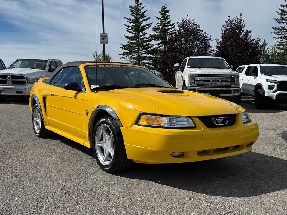 1999 Ford SN95 Mustang - Image 7 of 14