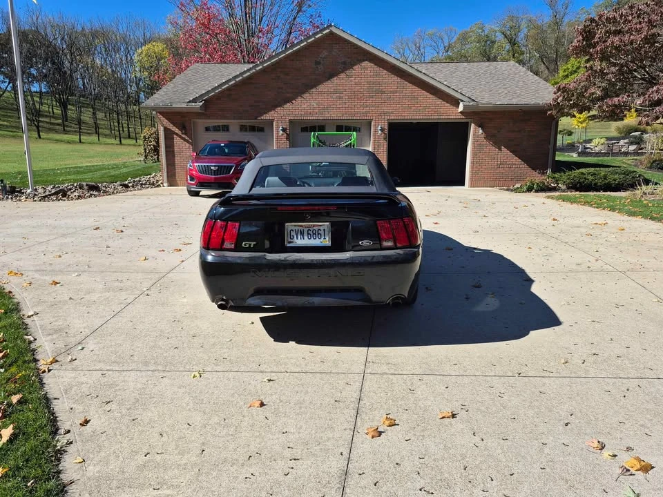 1999 Ford SN95 Mustang - Image 8 of 8