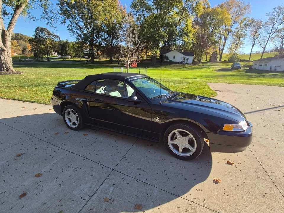 1999 Ford SN95 Mustang - Image 4 of 8