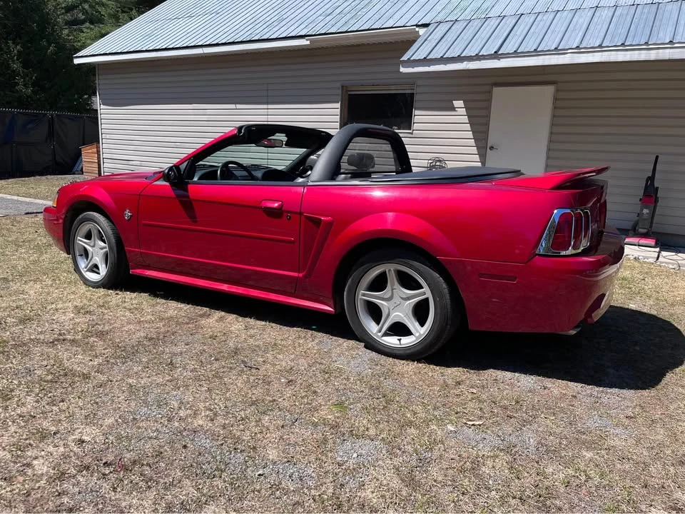 1999 Ford SN95 Mustang - Image 12 of 14